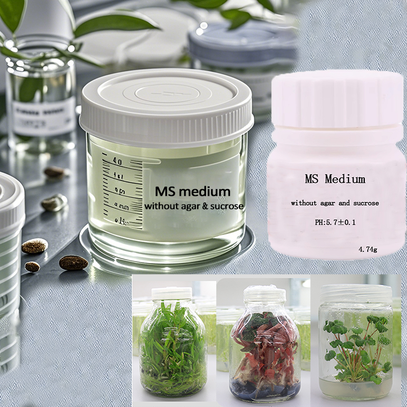 Agar Tissue Culture - مزيج مغذي متوسط بدون أجار أو