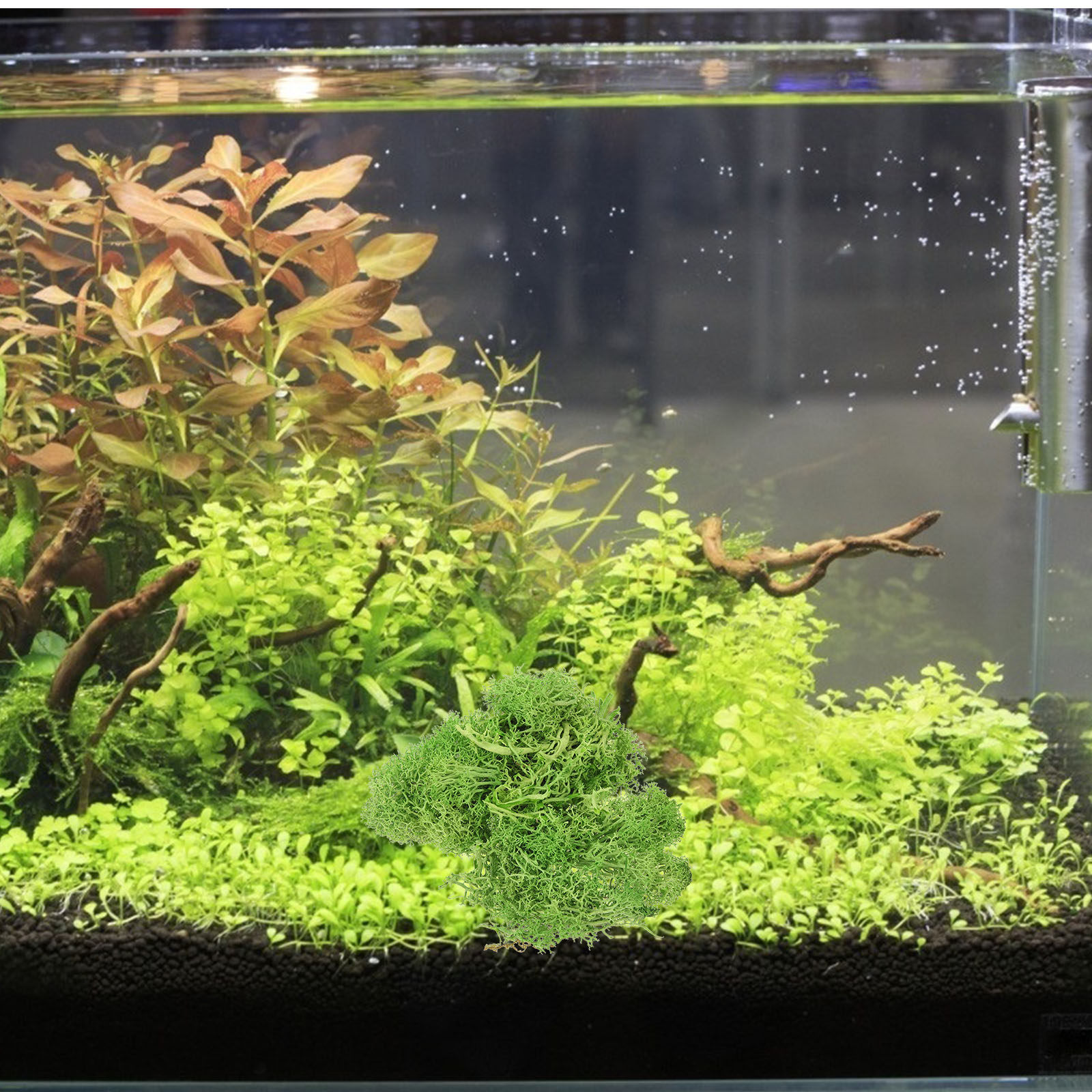 Sphagnum Moss Dry - طحلب اصطناعي بني للمناظر الطبيعية، نباتات