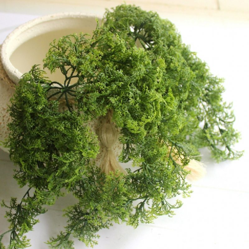 Sphagnum Moss Dry - 8 - 10 فرع من نبات