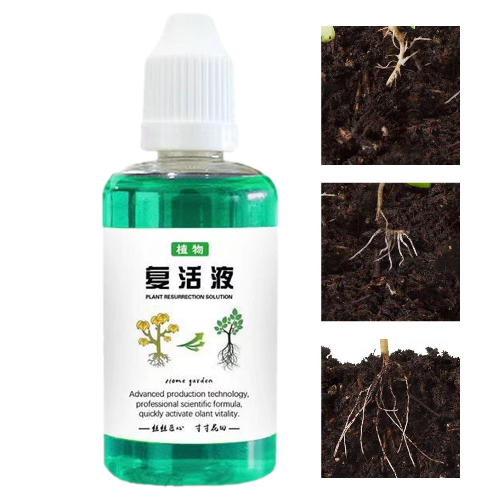 Root Stimulator Liquid - سائل تحفيز الجذور 50 مل، مُنشط