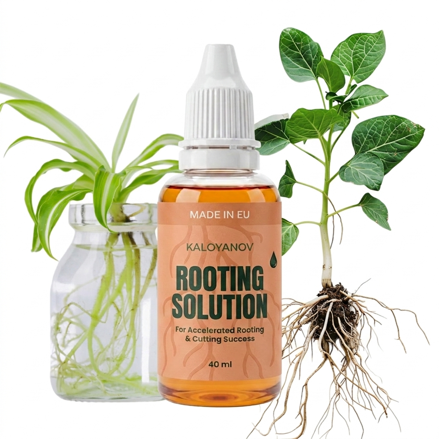 Rooting Hormone Powder - رووت دروبس هرمون تجذير سائل للقصاصات