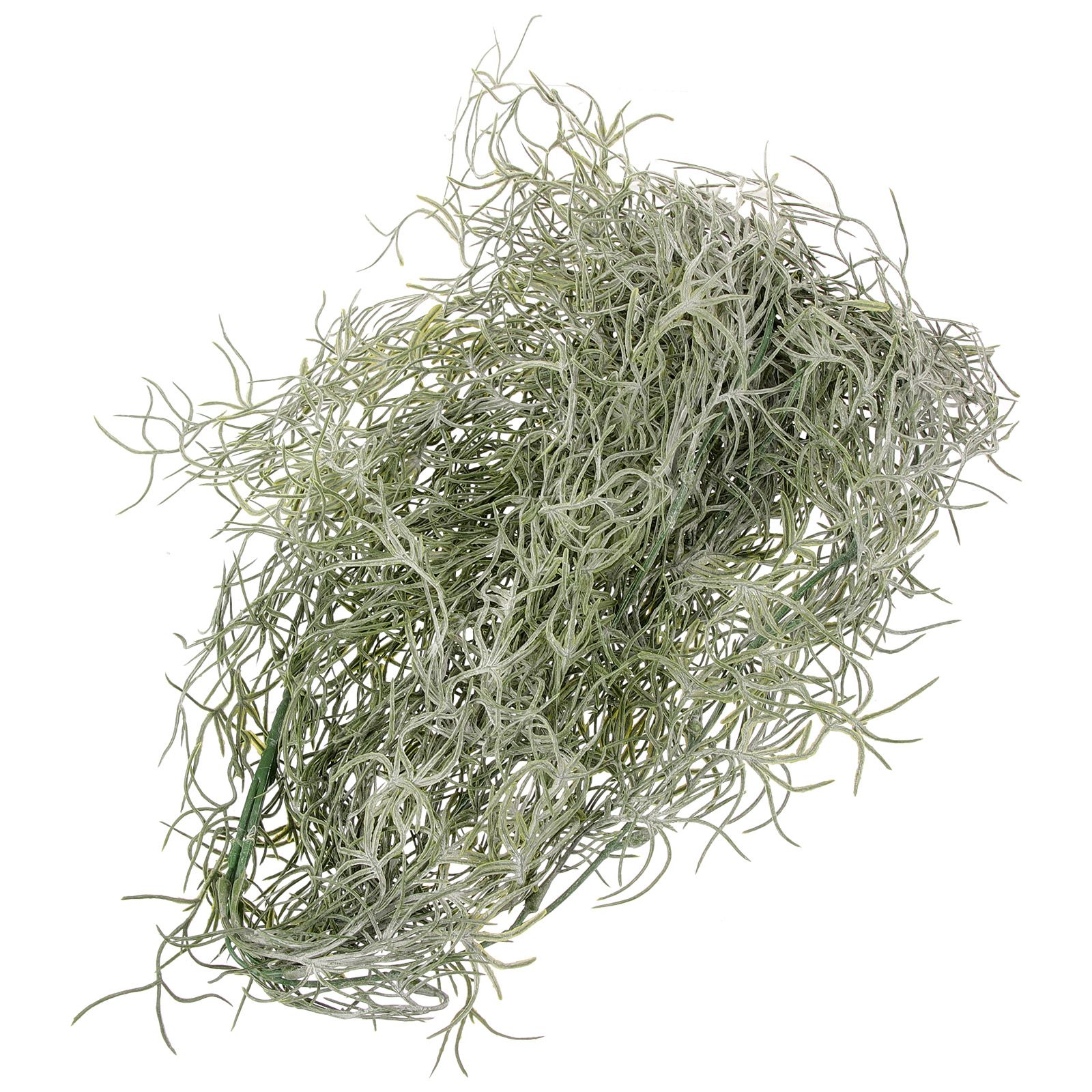 Sphagnum Moss Dry - زهور مجففة صناعية خضراء عميقة معلقة