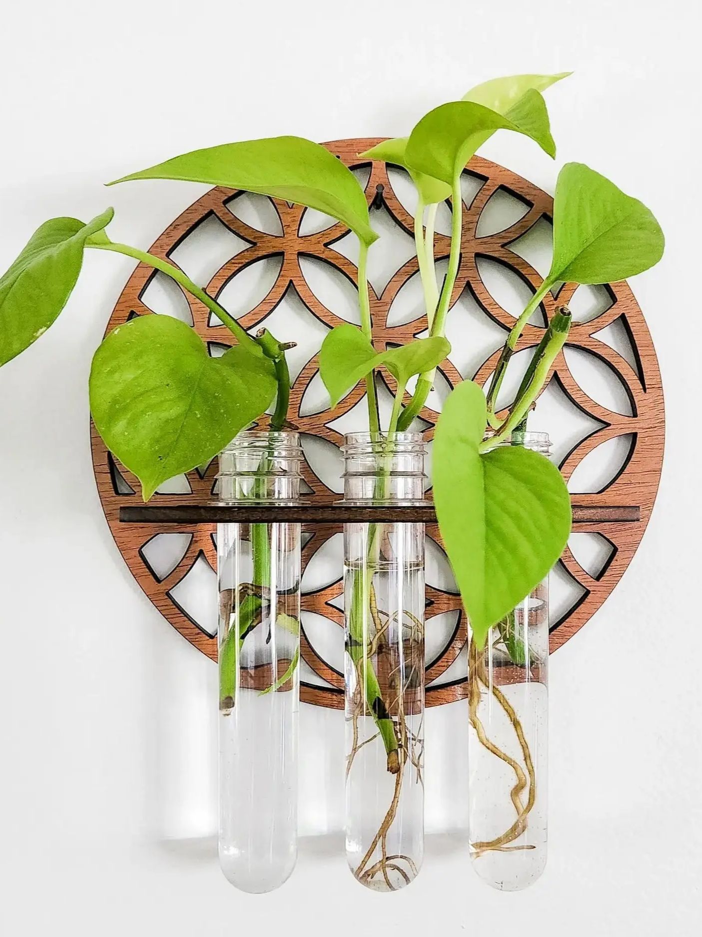 Propagation Station Vase - حديقة جدار المزارعون داخلي خشبي دائرة