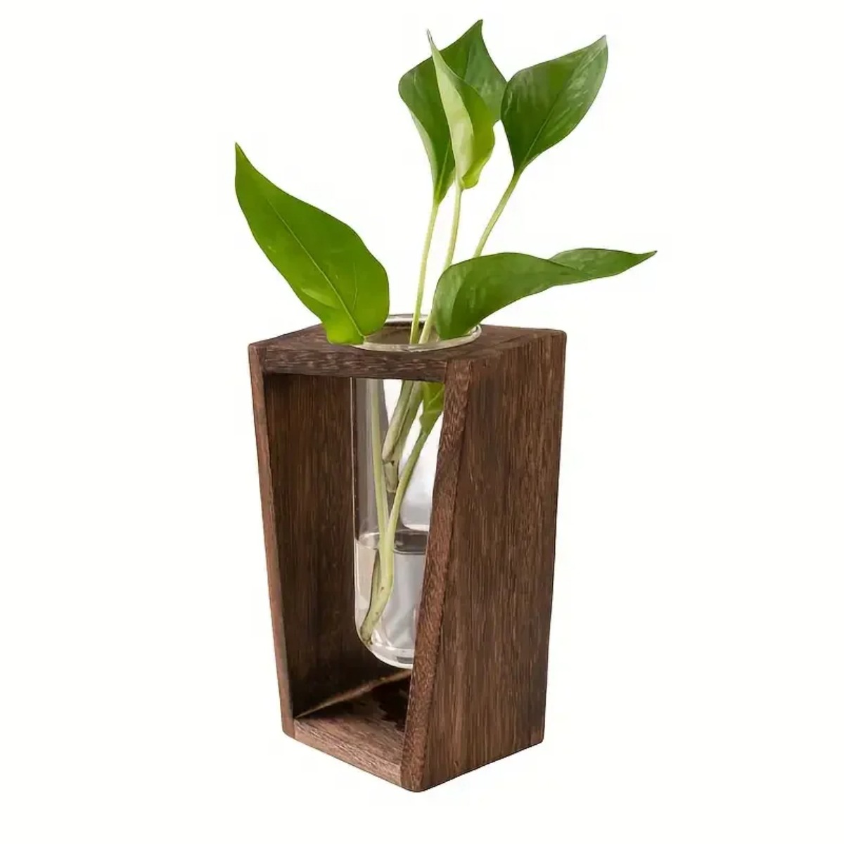 Propagation Station Vase - محطة تكاثر النباتات، مزهرية هيدروبونيك، حامل