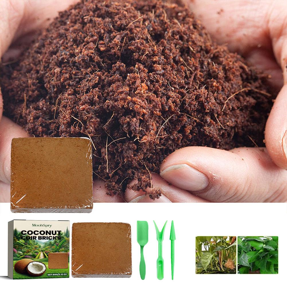 Sphagnum Moss Dry - طوب ألياف جوز الهند - تربة