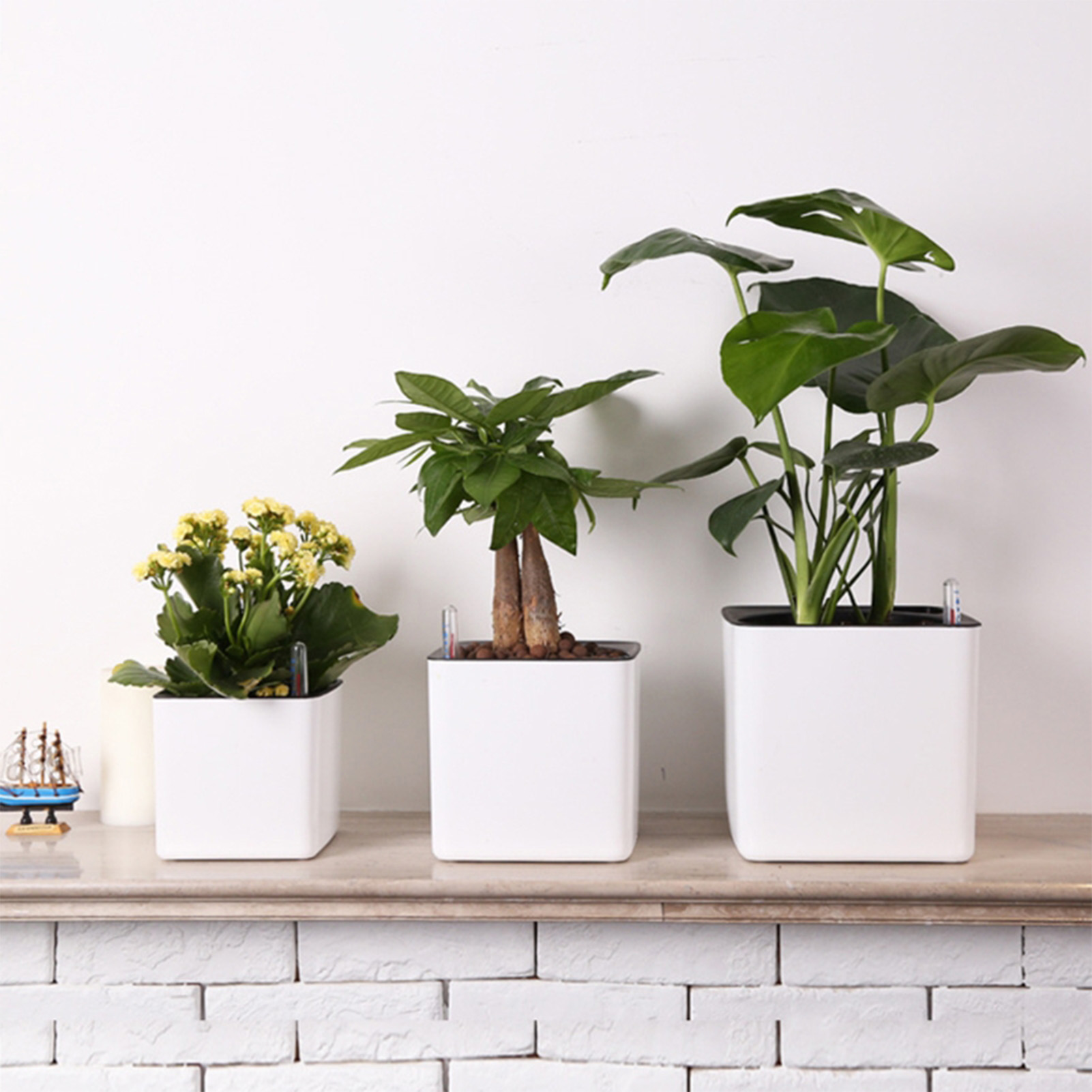 Self Watering Insert - وعاء نباتات ذاتي الري مع مؤشر