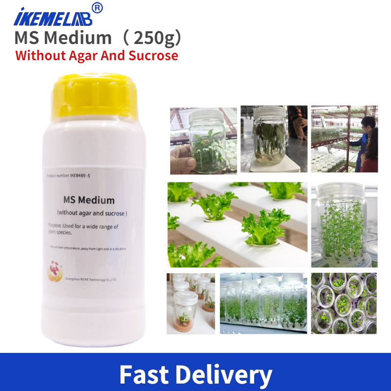 Agar Tissue Culture - IKEME Lab MS متوسط 250 جرام