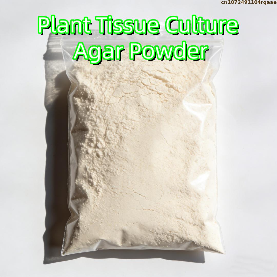 Agar Tissue Culture - مسحوق أجار عالي الجودة لزراعة الأنسجة