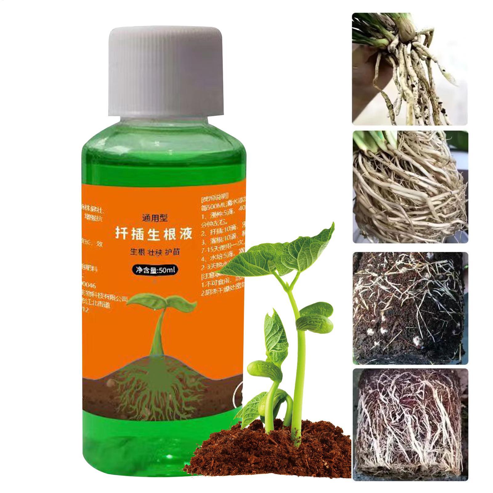 Root Stimulator Liquid - محفز جذور عالي الكفاءة لقصاصات النباتات،