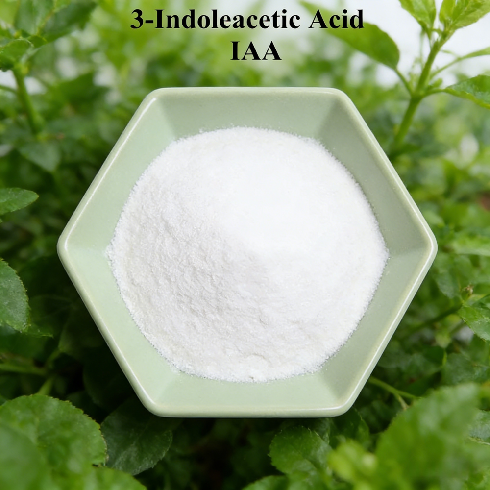 Rooting Hormone Powder - 3-حمض الأسيتيك IAA Auxina Indol-3-حمض اللاسيتيك