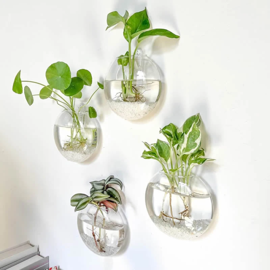 Propagation Station Vase - الجدار الشنق الزجاج مصنع تررم الحاويات