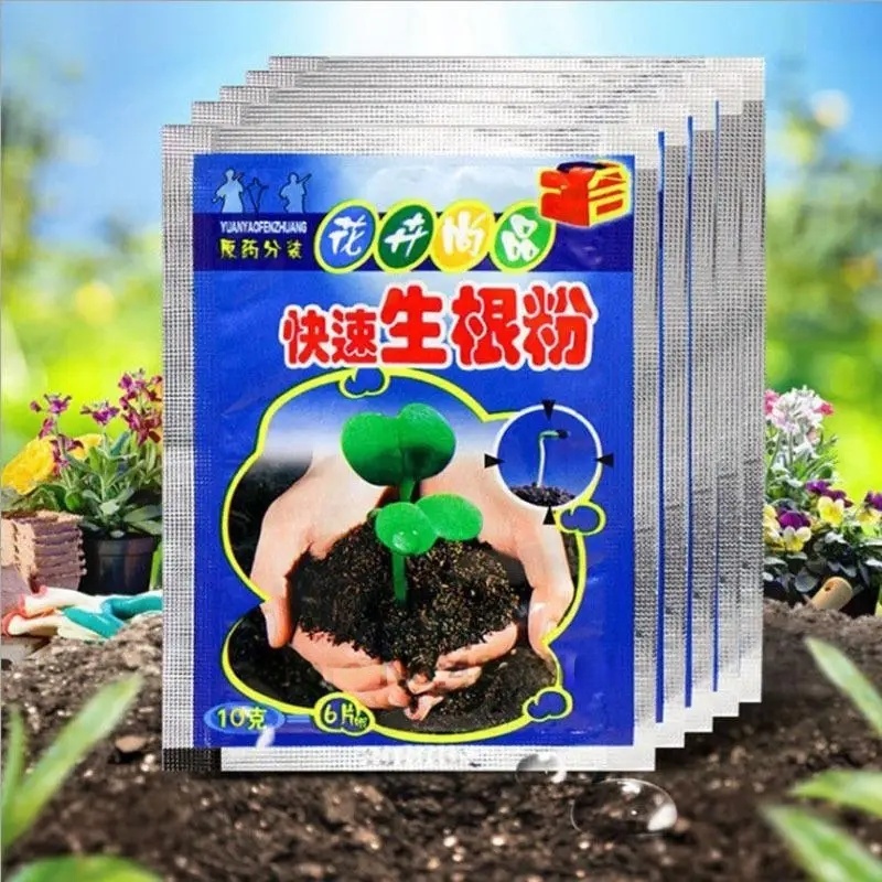 Rooting Hormone Powder - 5 قطعة مسحوق تأصيل سريع النبات