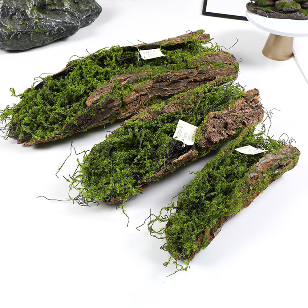 كتل زراعة الطحلب لحاء التقليد  - مراجعة Sphagnum Moss Dry وسعره