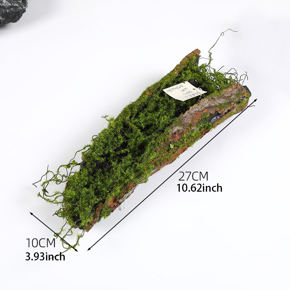 كتل زراعة الطحلب لحاء التقليد  - مراجعة Sphagnum Moss Dry وسعره