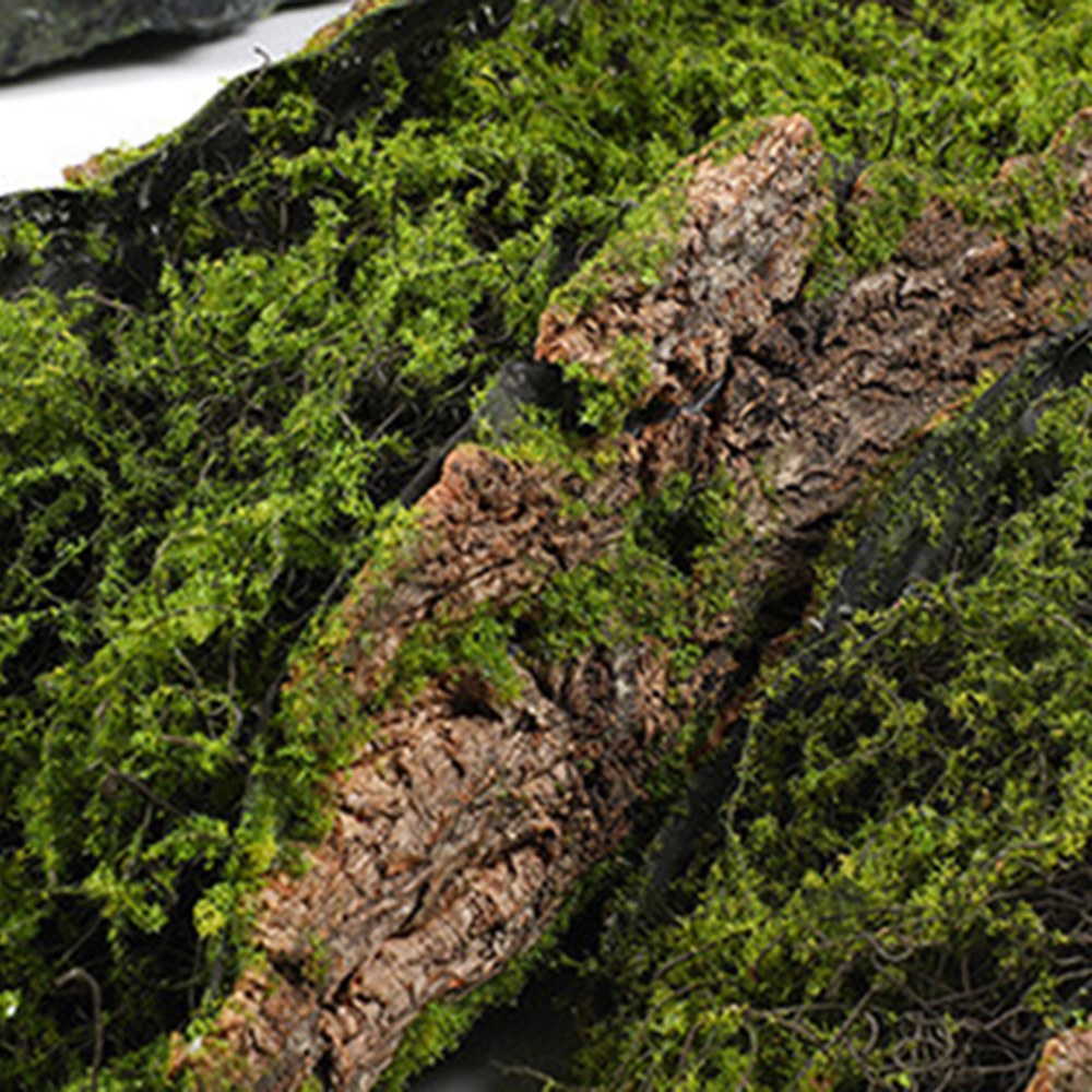 كتل زراعة الطحلب لحاء التقليد  - مراجعة Sphagnum Moss Dry وسعره