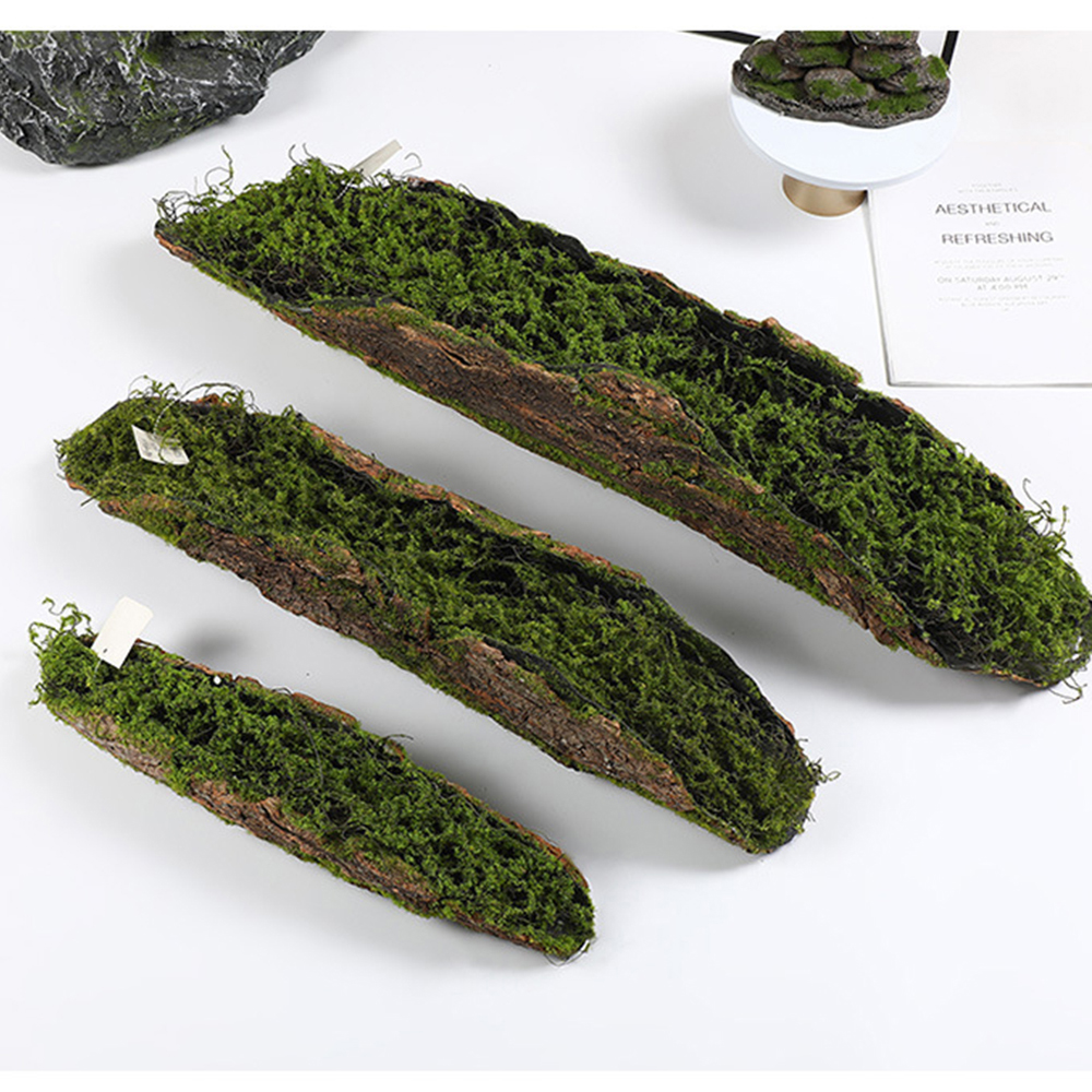كتل زراعة الطحلب لحاء التقليد  - مراجعة Sphagnum Moss Dry وسعره