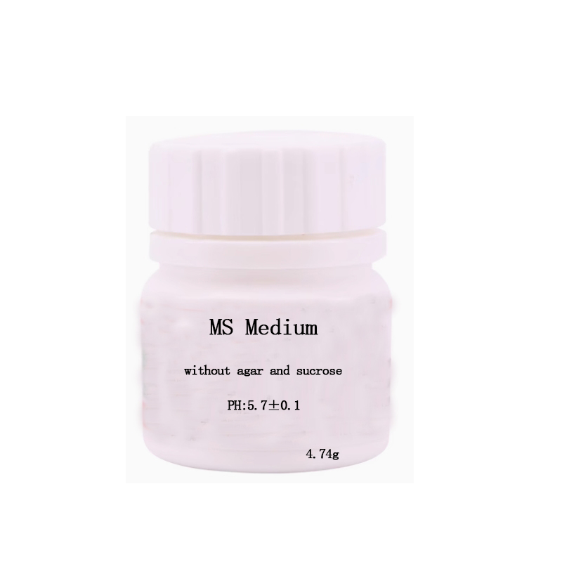 مزيج مغذي متوسط بدون أجار أو س - مراجعة Agar Tissue Culture وسعره