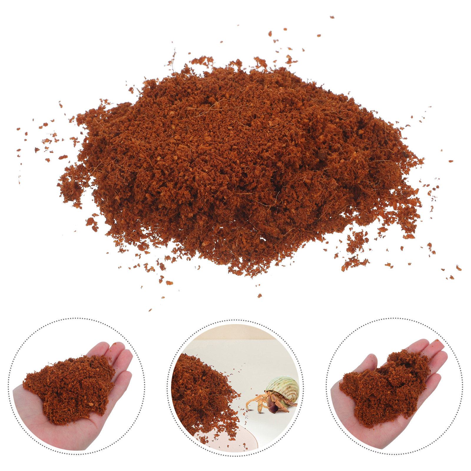 5 لتر من خليط التربة العضوية م - مراجعة Sphagnum Moss Dry وسعره