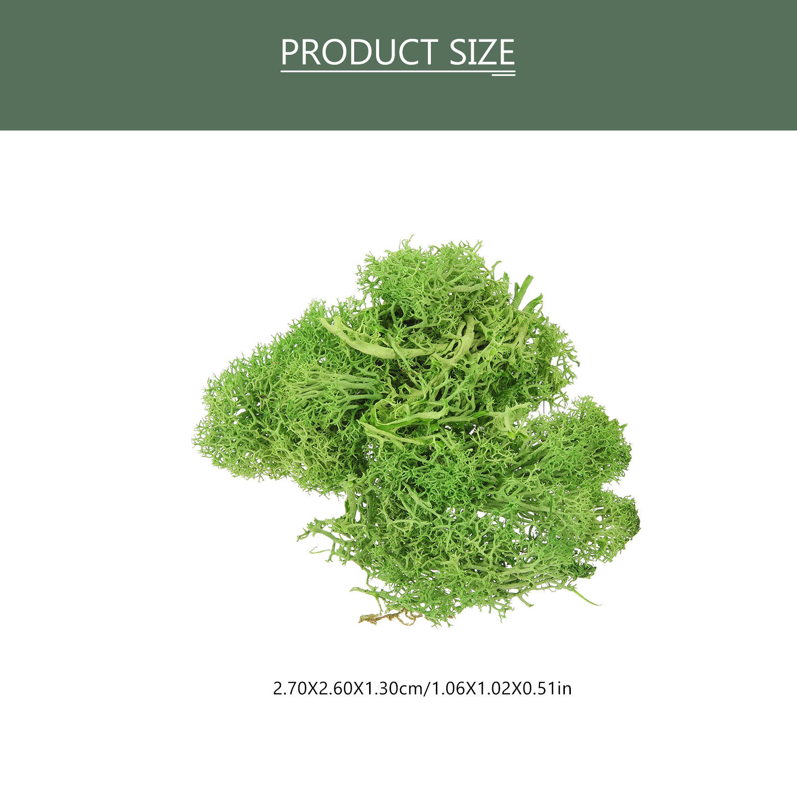 طحلب اصطناعي بني للمناظر الطبي - مراجعة Sphagnum Moss Dry وسعره