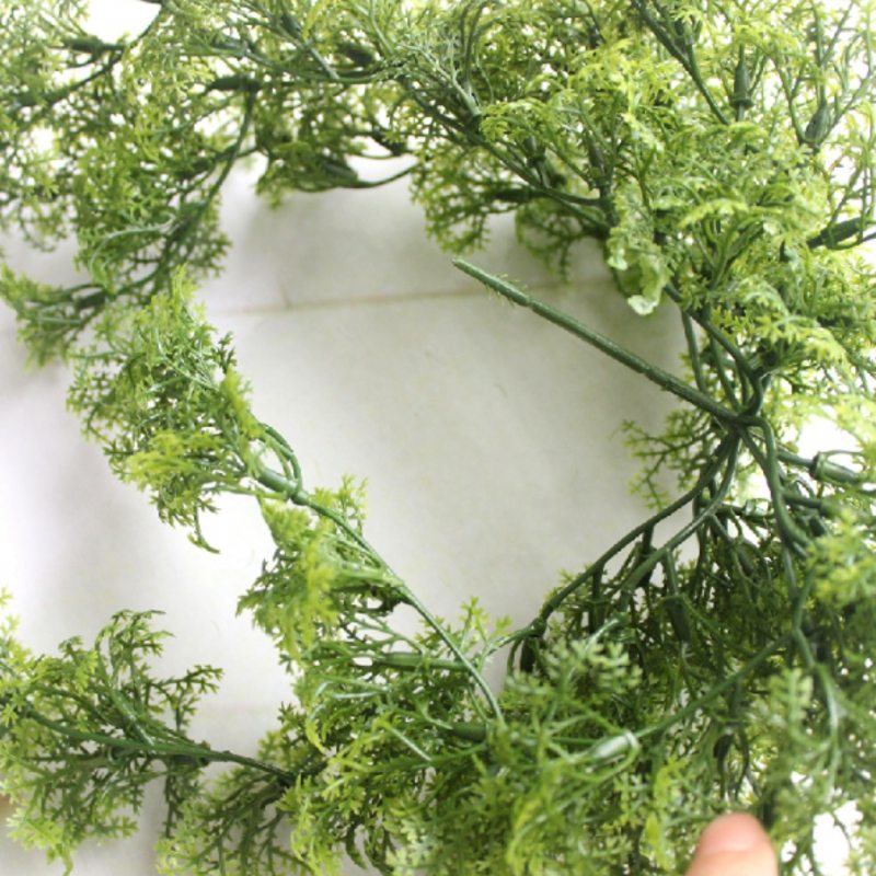 8 - 10 فرع من نبات الطحلب الاص - مراجعة Sphagnum Moss Dry وسعره