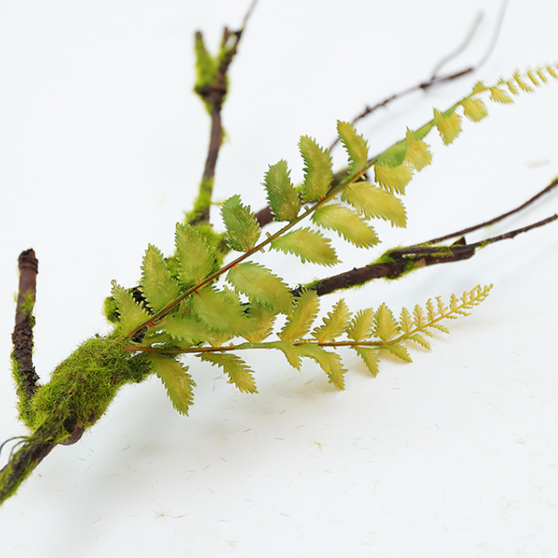 اللبلاب الاصطناعي موس وهمية ،  - مراجعة Sphagnum Moss Dry وسعره
