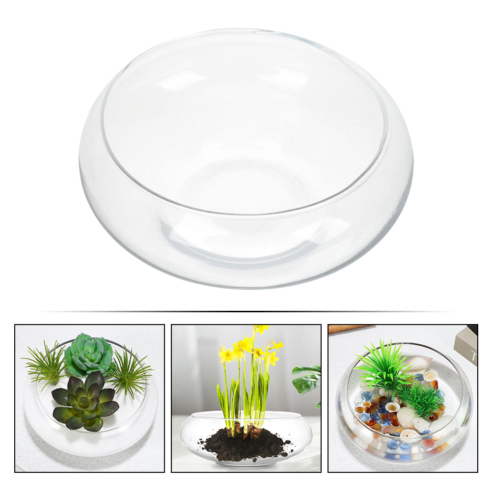 مزهرية زجاجية واسعة الفم ، Ter - مراجعة Propagation Station Vase وسعره
