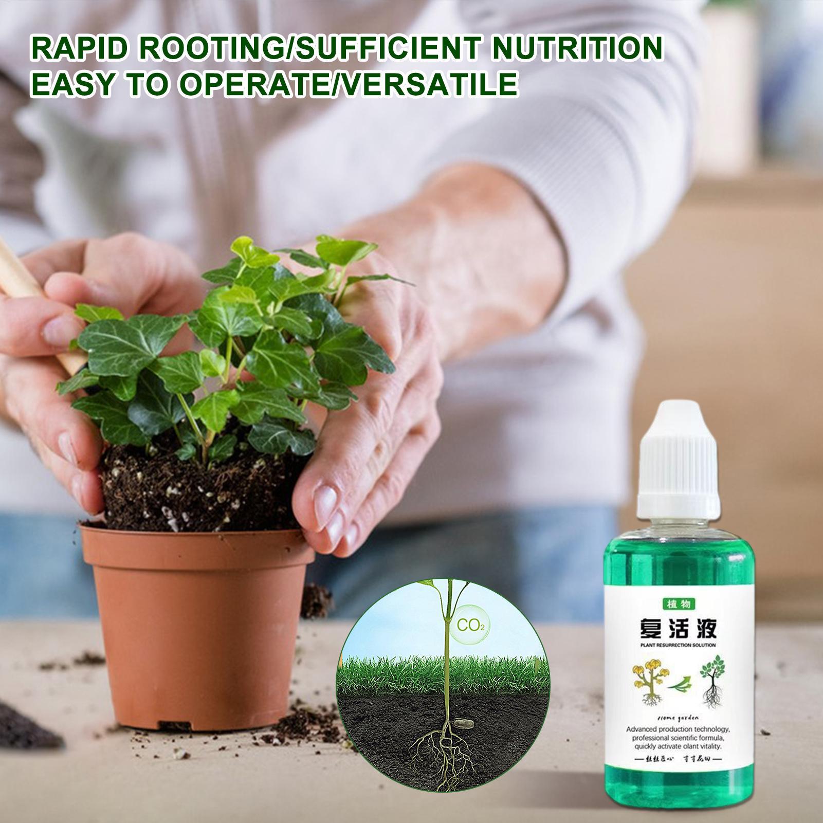 سائل تحفيز الجذور 50 مل، مُنشط - مراجعة Root Stimulator Liquid وسعره