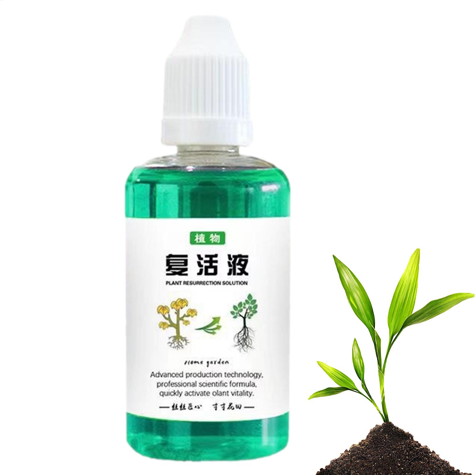 سائل تحفيز الجذور 50 مل، مُنشط - مراجعة Root Stimulator Liquid وسعره