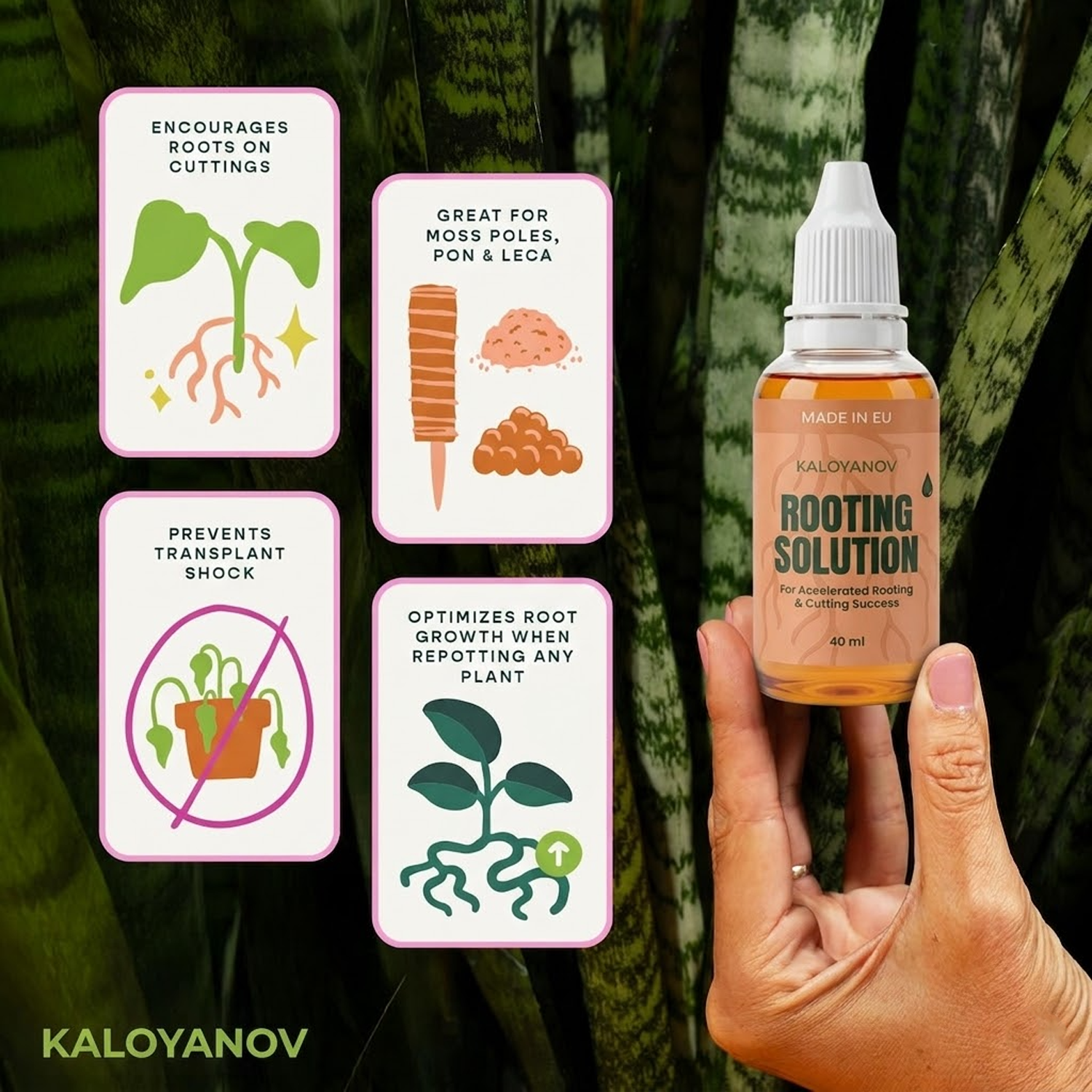 رووت دروبس هرمون تجذير سائل لل - مراجعة Rooting Hormone Powder وسعره