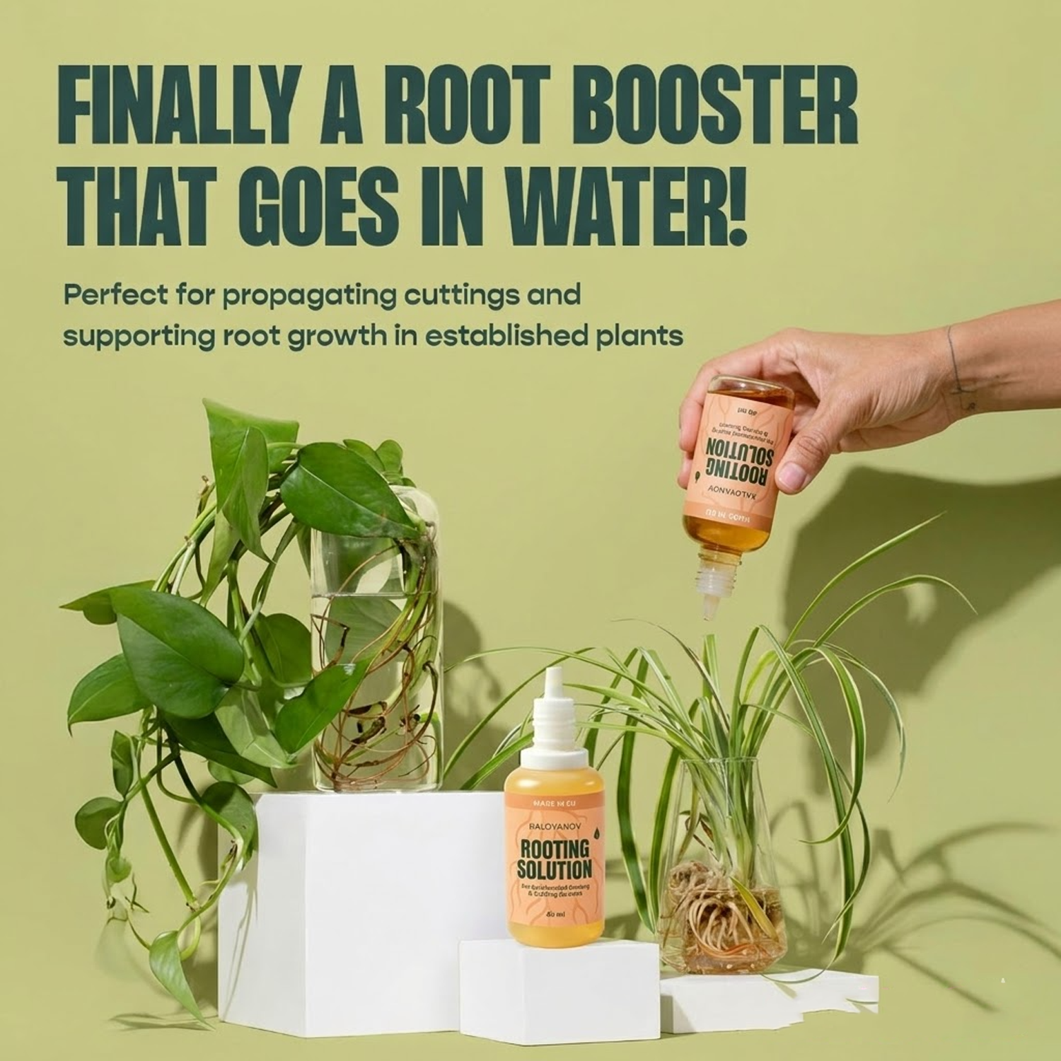 رووت دروبس هرمون تجذير سائل لل - مراجعة Rooting Hormone Powder وسعره
