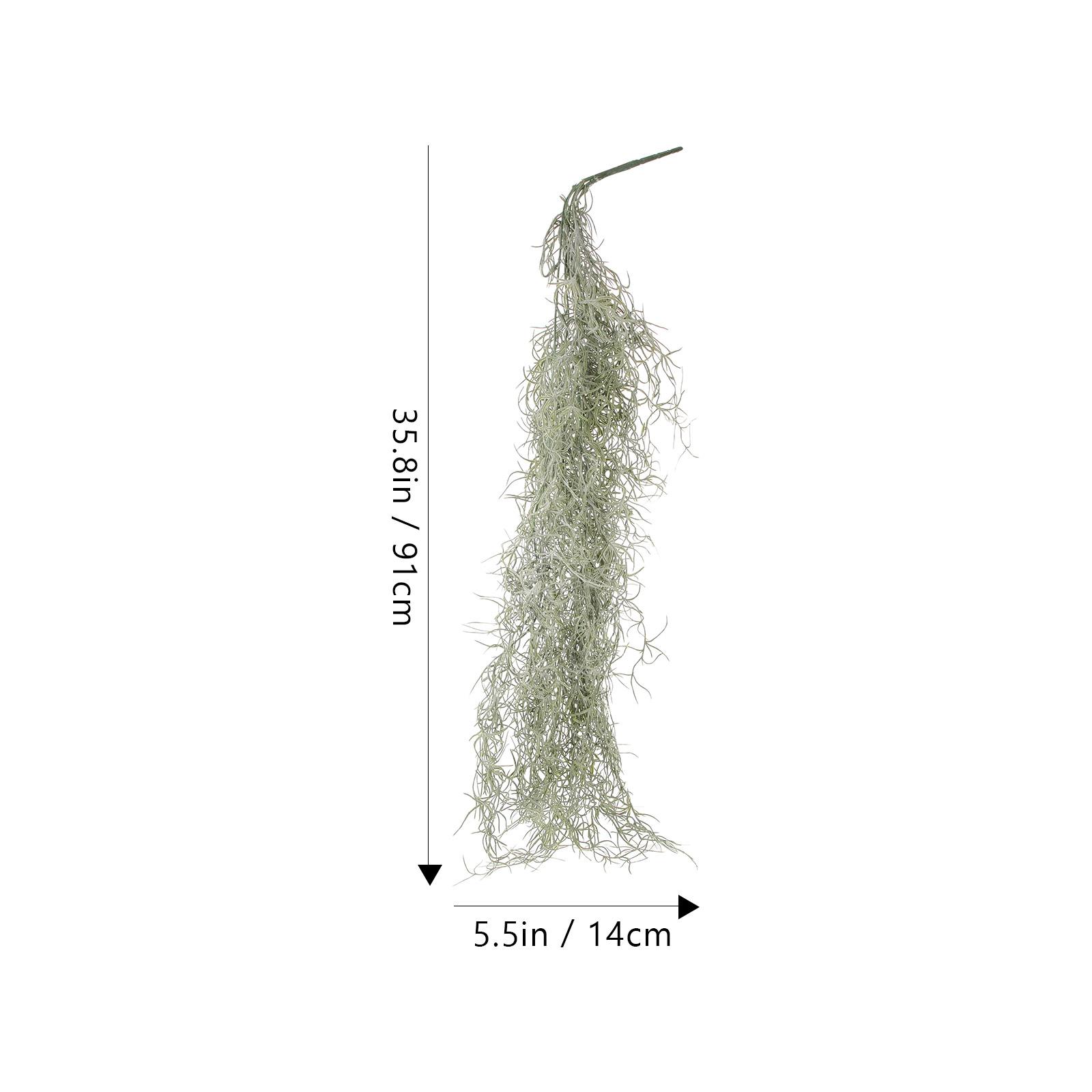 زهور مجففة صناعية خضراء عميقة  - مراجعة Sphagnum Moss Dry وسعره