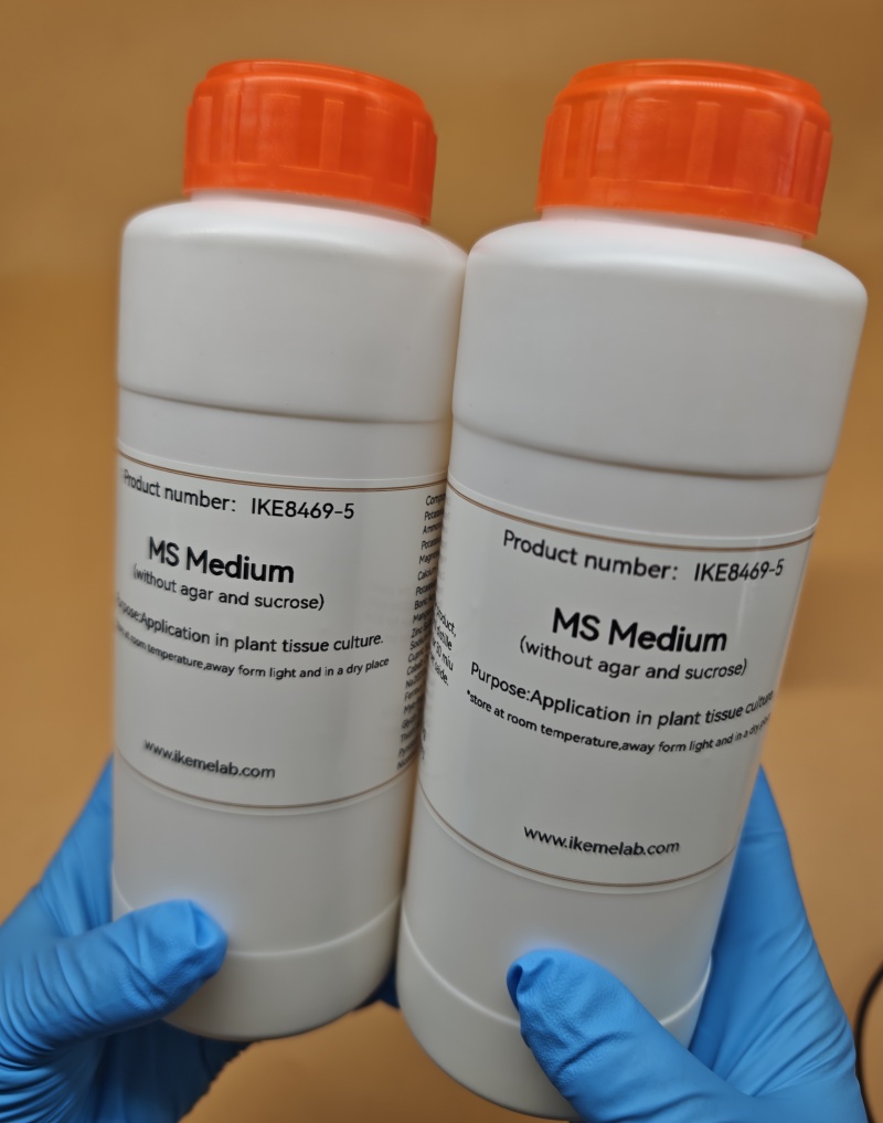 IKEME 250 جرام Lab MS Medium ب - مراجعة Agar Tissue Culture وسعره