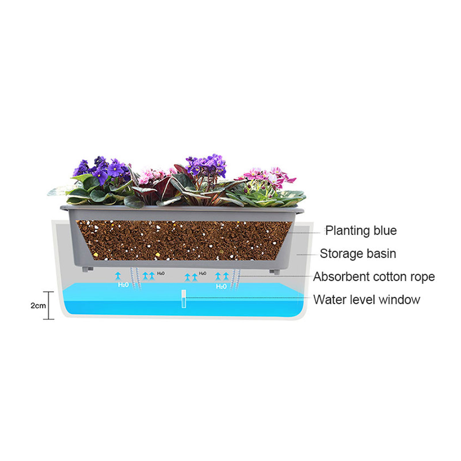 أوعية زراعة ذاتية السقي مع مؤش - مراجعة Self Watering Insert وسعره