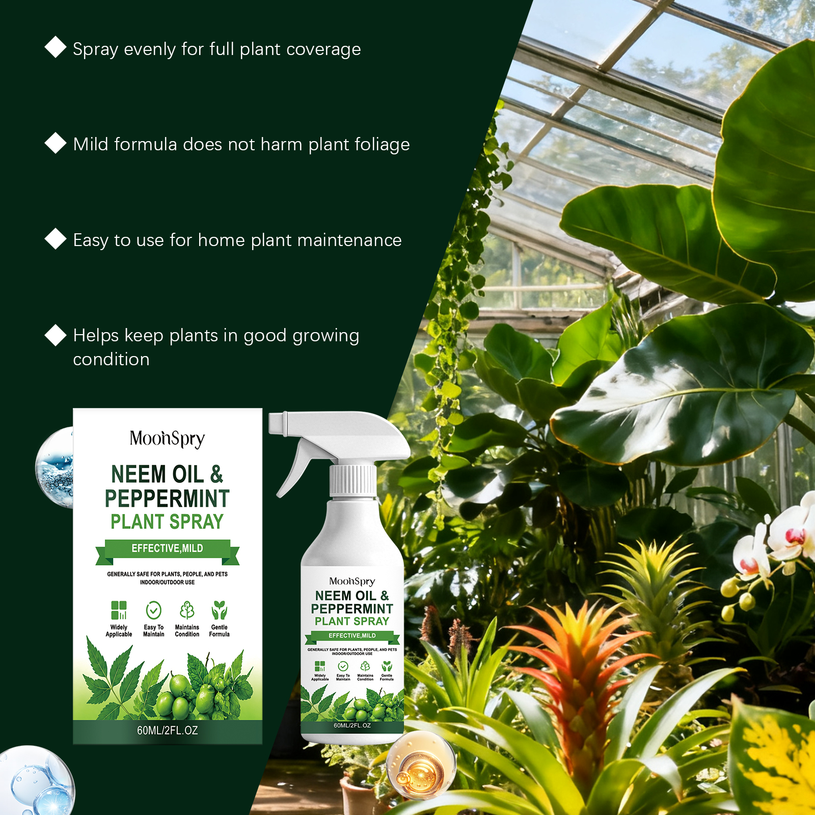 رذاذ زيت النيم بالنعناع، زيت ع - مراجعة Rooting Hormone Powder وسعره