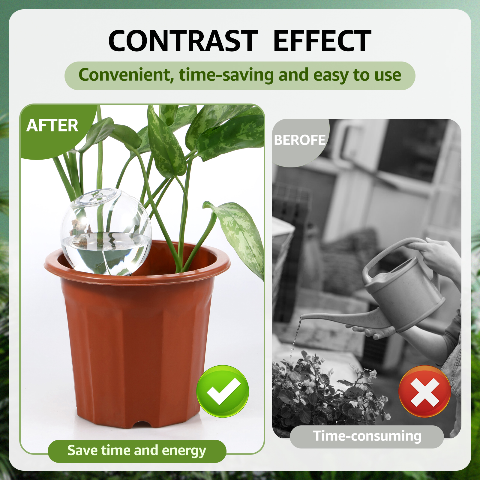 2/4 قطعة 500 مللي نظام الري با - مراجعة Self Watering Insert وسعره