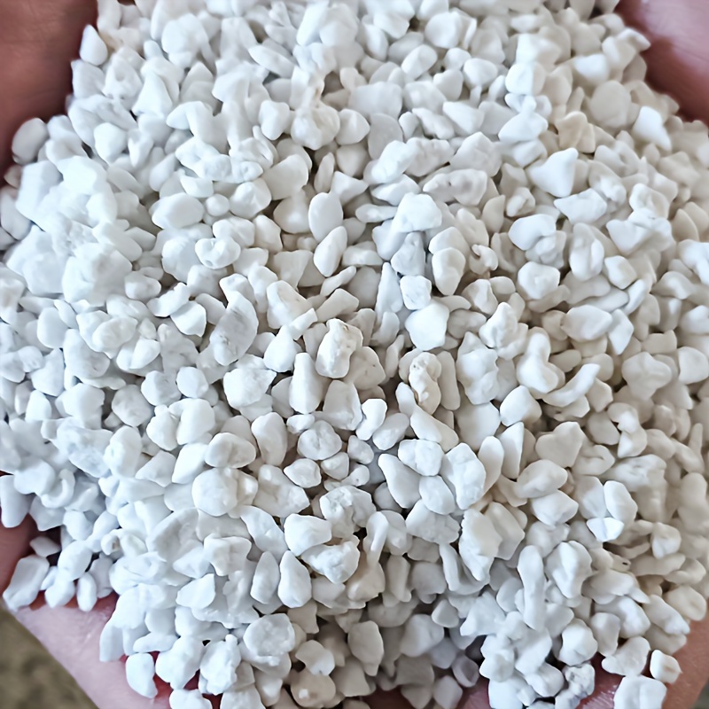 كيس واحد من البيرلايت للحدائق  - مراجعة Sphagnum Moss Dry وسعره