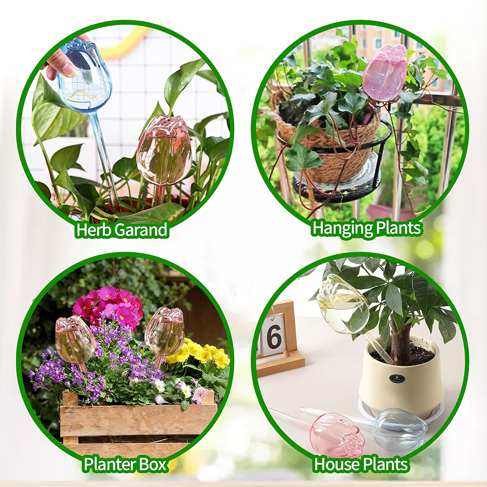 2/4 قطع من أحواض الزرع ذاتية ا - مراجعة Self Watering Insert وسعره