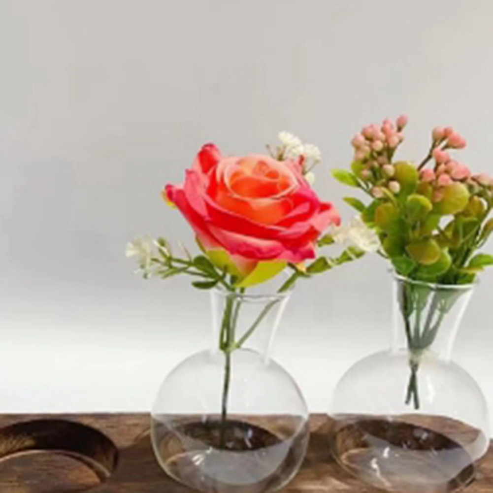 75STO-مزهريات نباتية مائية محط - مراجعة Propagation Station Vase وسعره