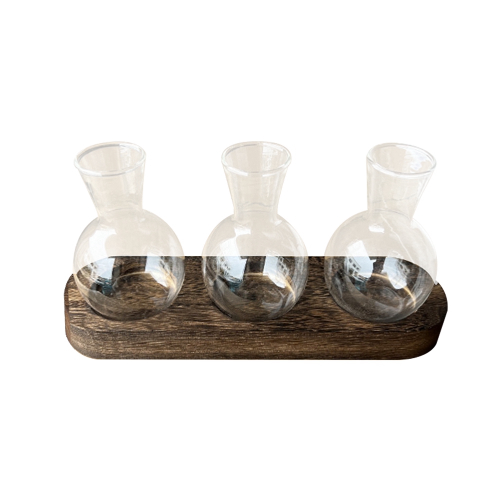 75STO-مزهريات نباتية مائية محط - مراجعة Propagation Station Vase وسعره