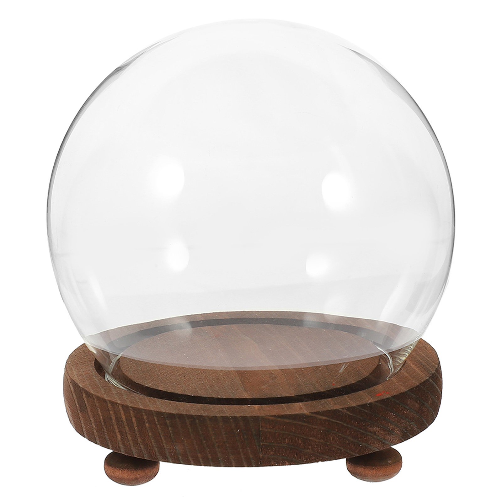 أغطية زجاجية كروية للزينة، قبا - مراجعة Plastic Dome Clear وسعره