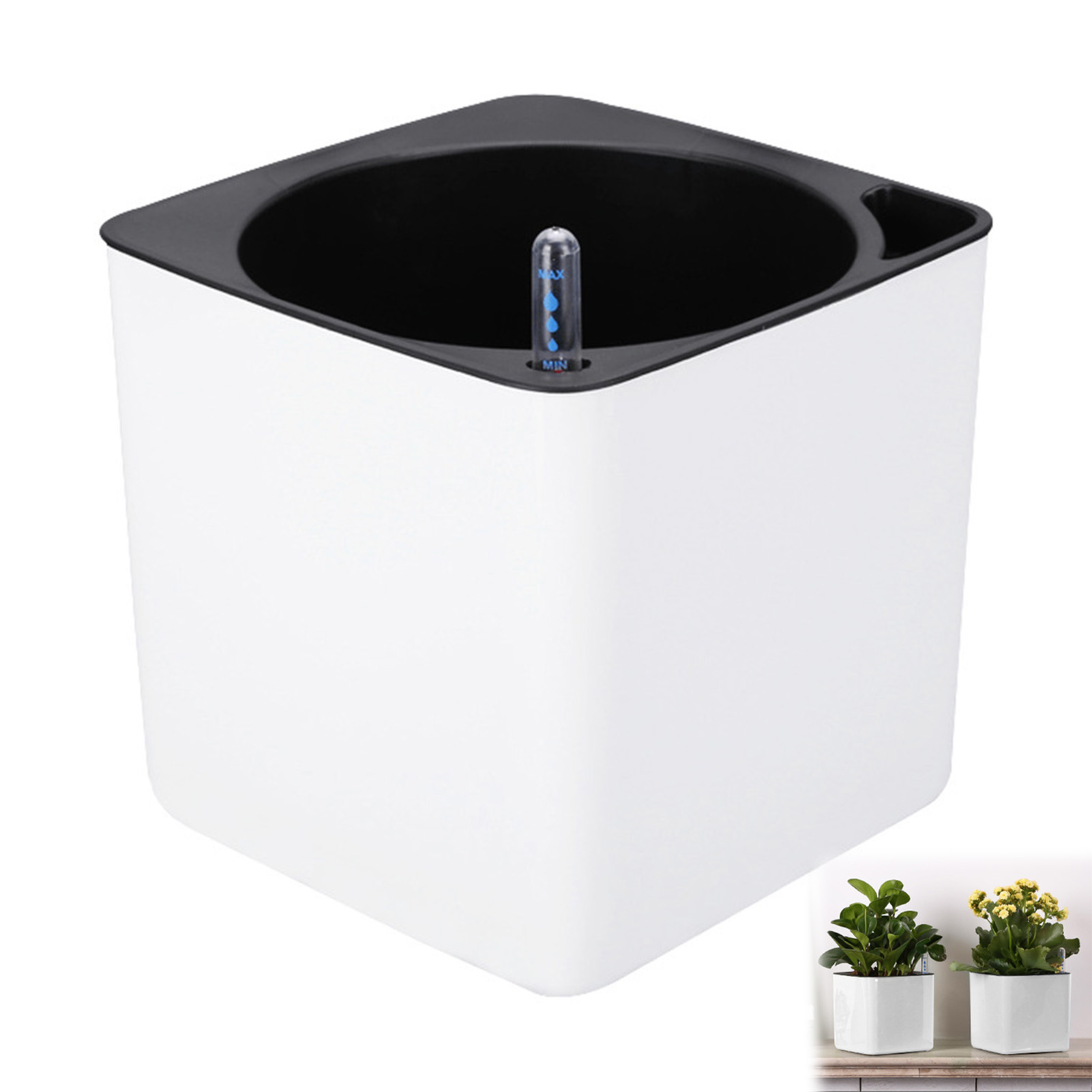 التلقائي الذاتي سقي زهرة النبا - مراجعة Self Watering Insert وسعره