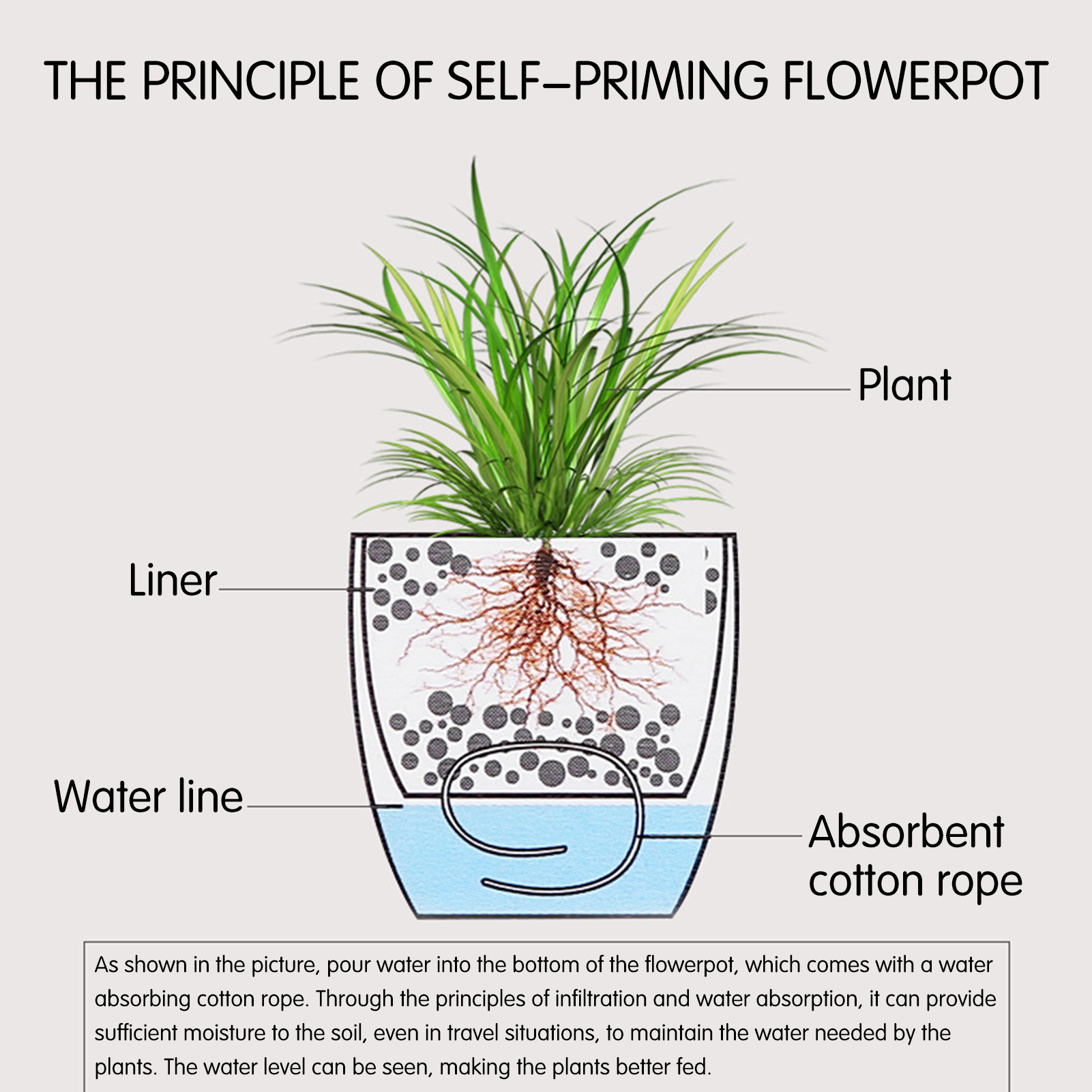 التلقائي الذاتي سقي زهرة النبا - مراجعة Self Watering Insert وسعره
