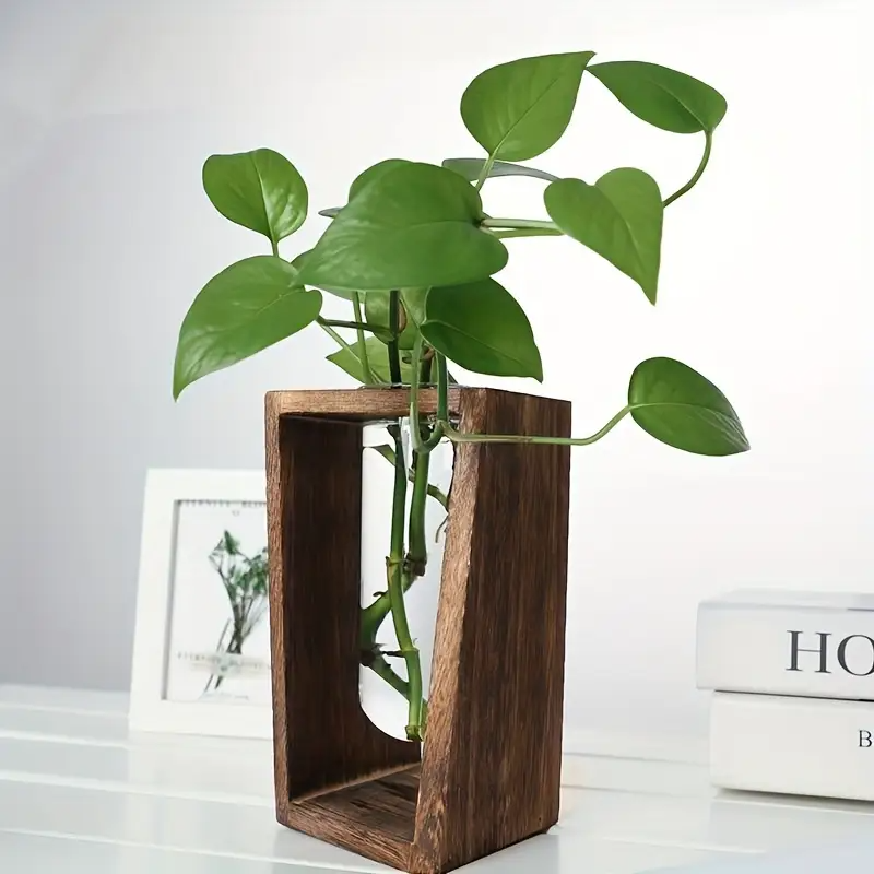 مزهرية خشبية عصرية للتكاثر - و - مراجعة Propagation Station Vase وسعره