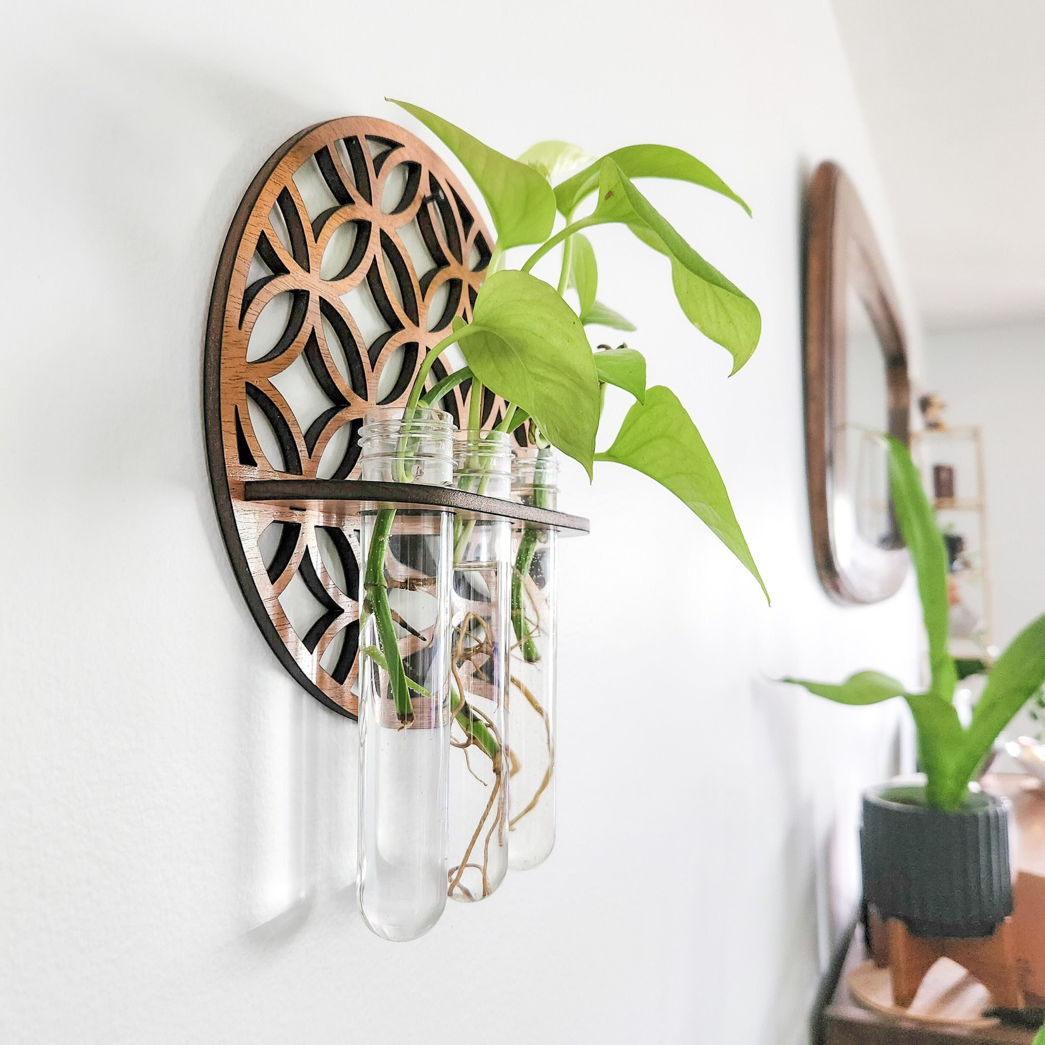 حديقة جدار المزارعون داخلي خشب - مراجعة Propagation Station Vase وسعره