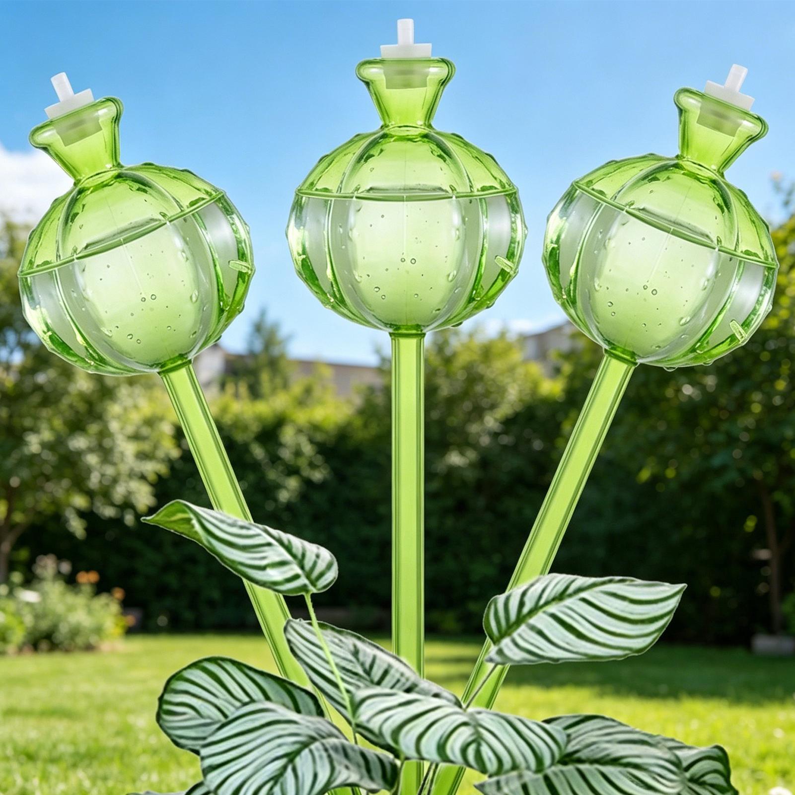 كرات ري ذاتي بطيء الإطلاق، 3 ق - مراجعة Self Watering Insert وسعره