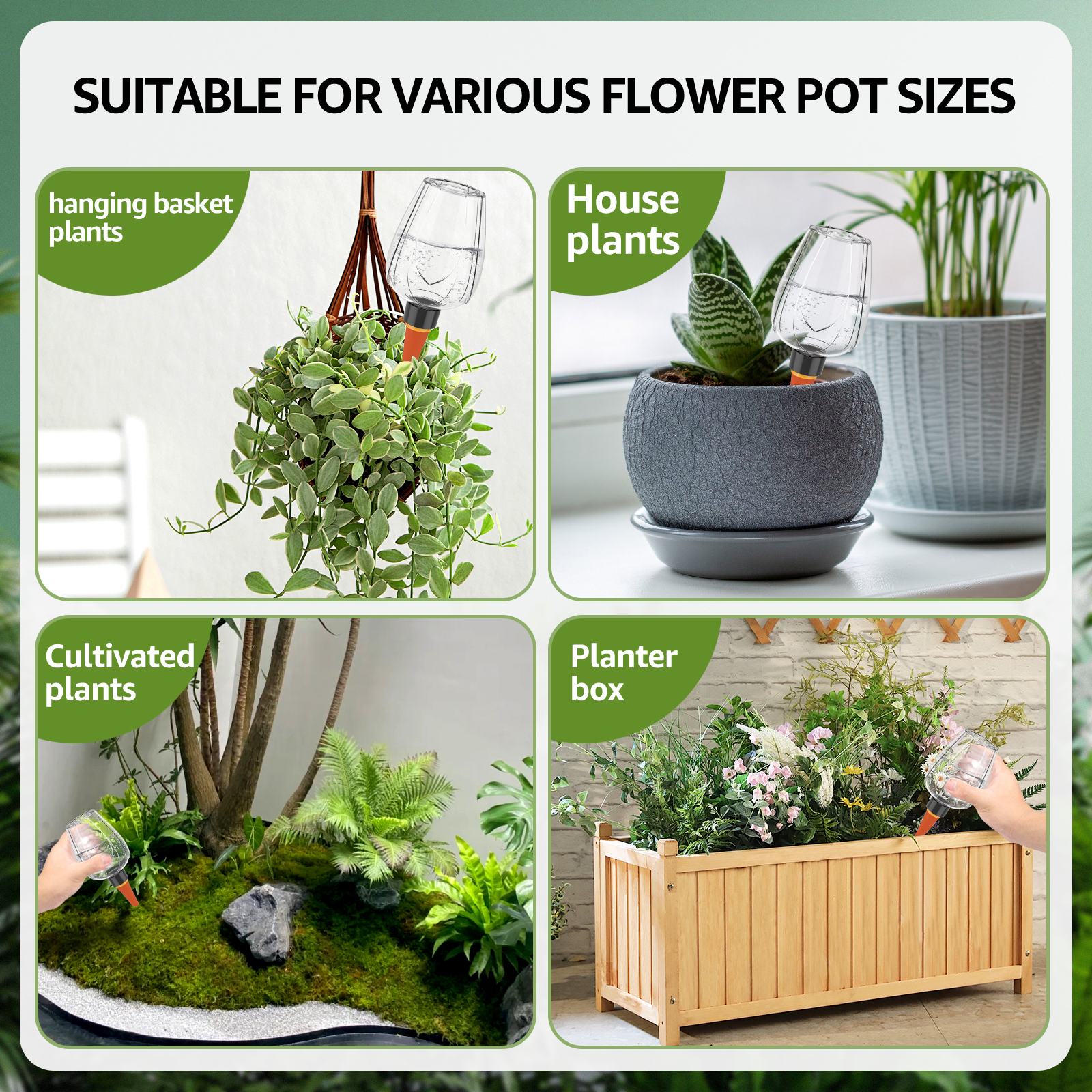 4 قطع كرات سقي النباتات سعة 35 - مراجعة Self Watering Insert وسعره
