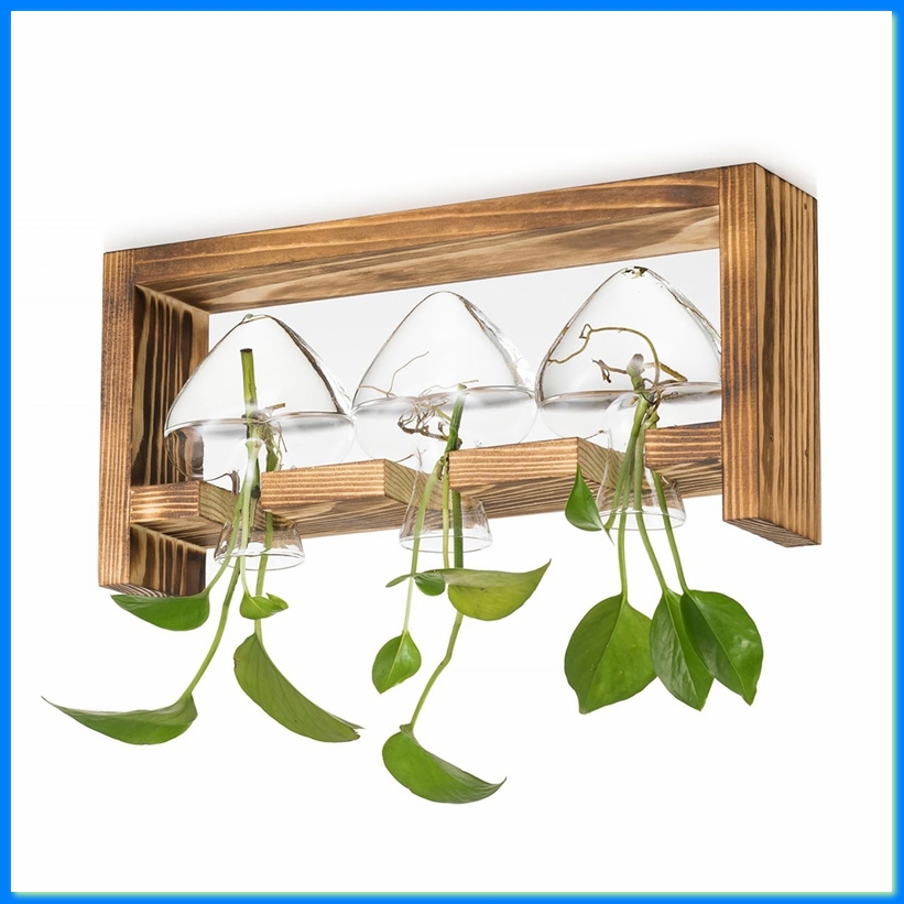 محطة زراعة زجاجية للنباتات: مز - مراجعة Propagation Station Vase وسعره