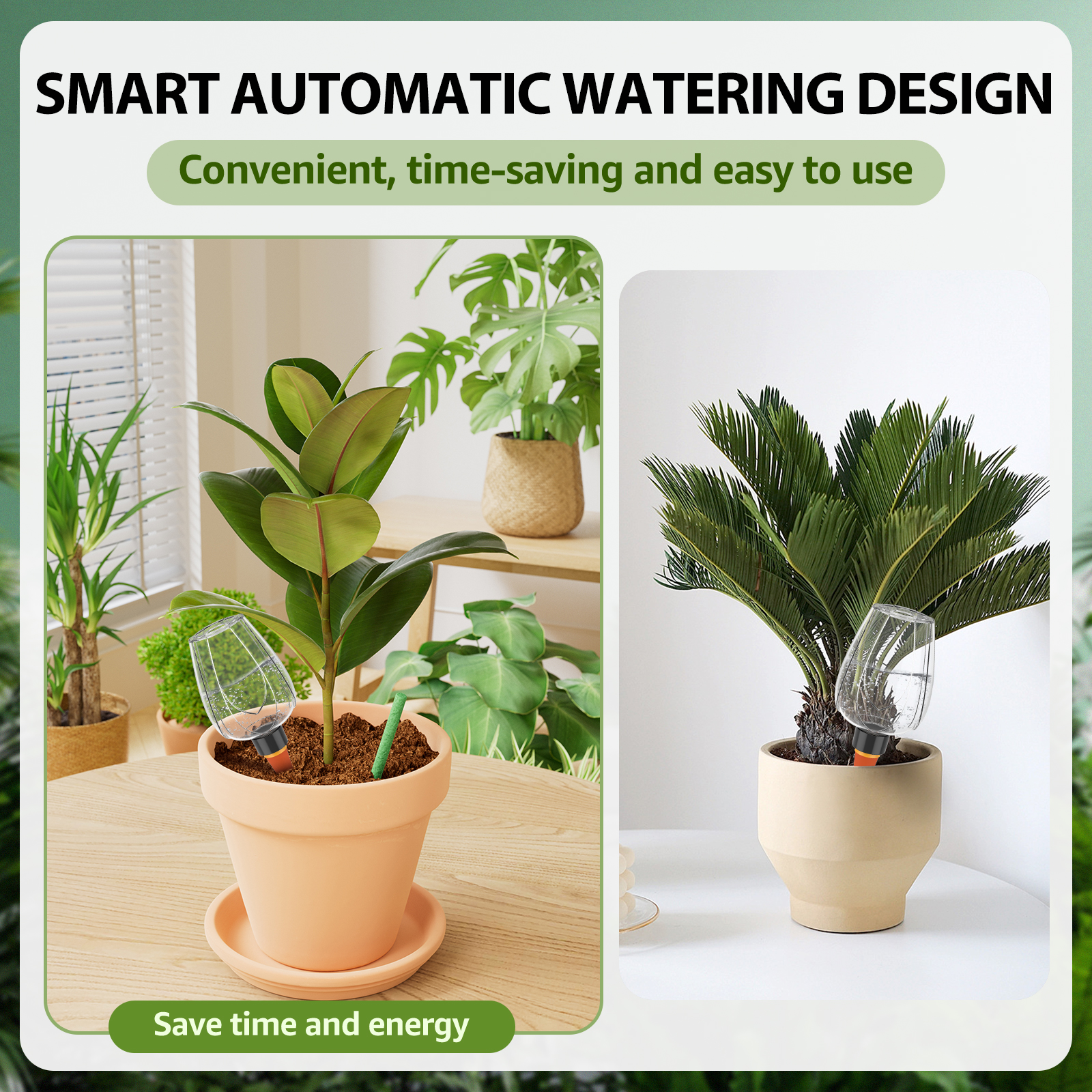 4 قطع من كرات سقي النباتات الش - مراجعة Self Watering Insert وسعره