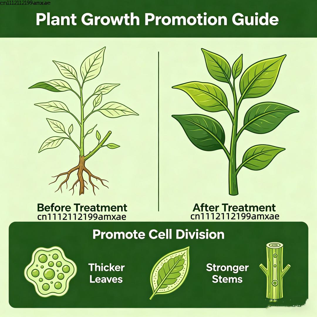 مسحوق سيتوكينين 6-بي إيه (6-بن - مراجعة Rooting Hormone Powder وسعره