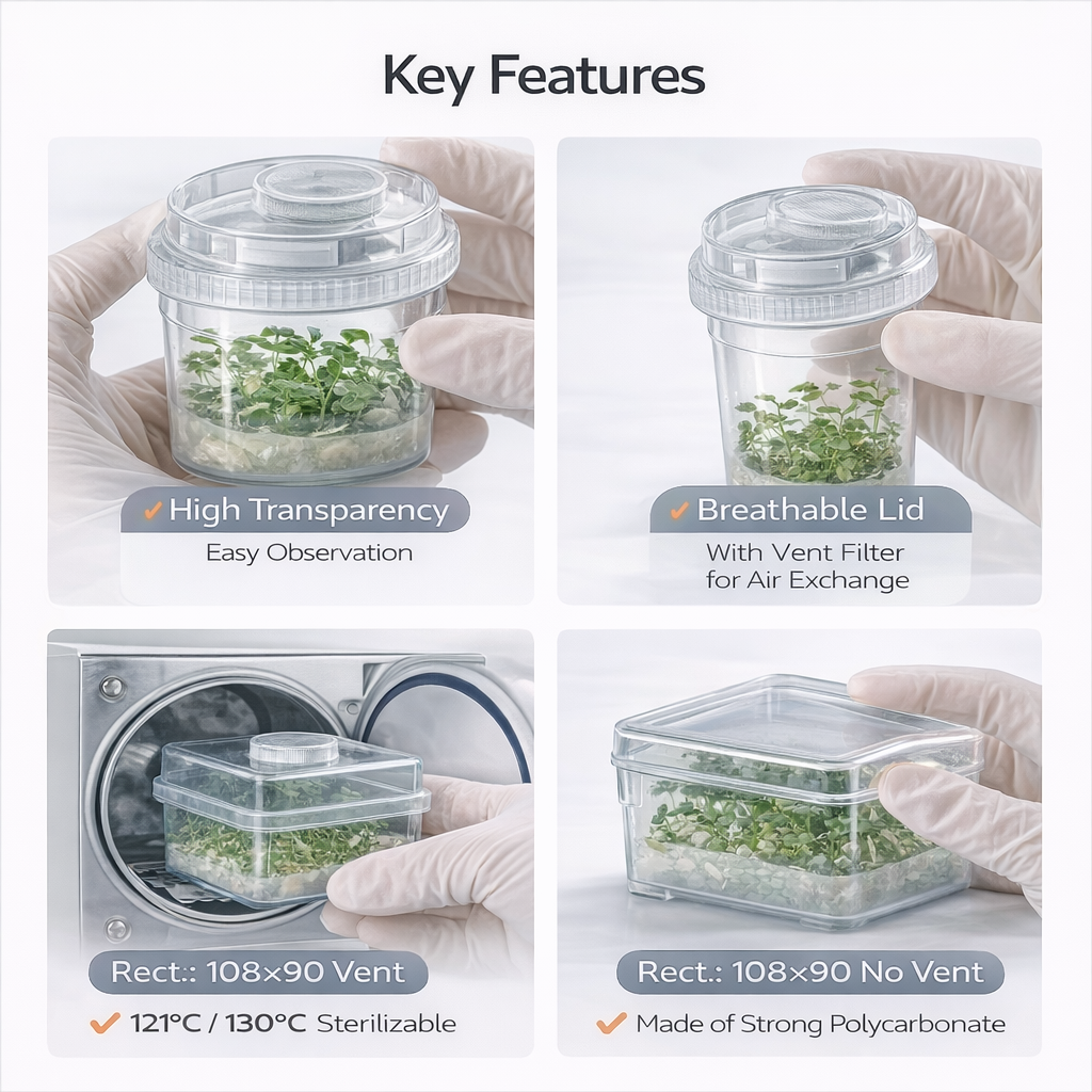 حاوية لزراعة الأنسجة النباتية  - مراجعة Agar Tissue Culture وسعره